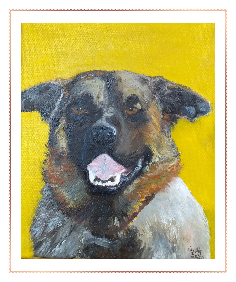 Pet portraits: Amigo