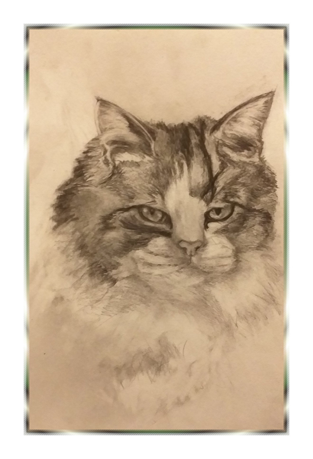 Pet portraits: Jasper